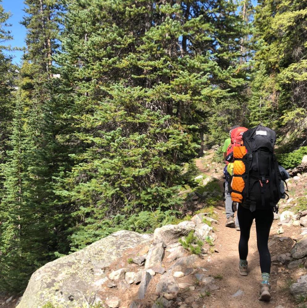 Meet your Posher, Rosie